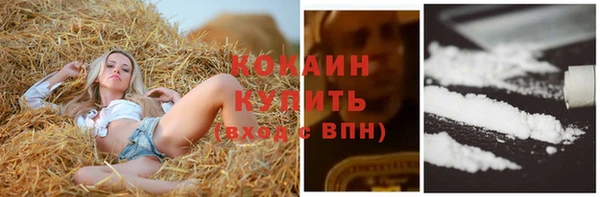 прущие грибы Новокубанск