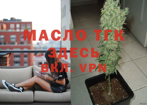 шишки Новозыбков