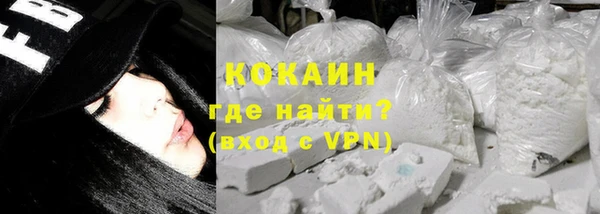 прущие грибы Новокубанск