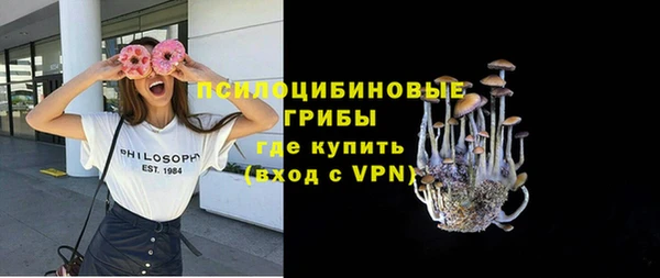 шишки Новозыбков