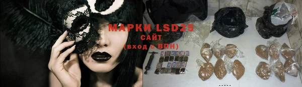 шишки Новозыбков