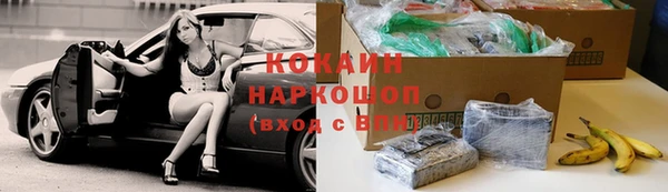 шишки Новозыбков