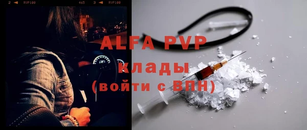 прущие грибы Новокубанск