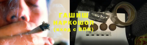 прущие грибы Новокубанск