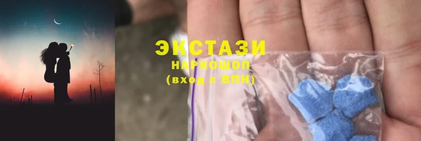 шишки Новозыбков
