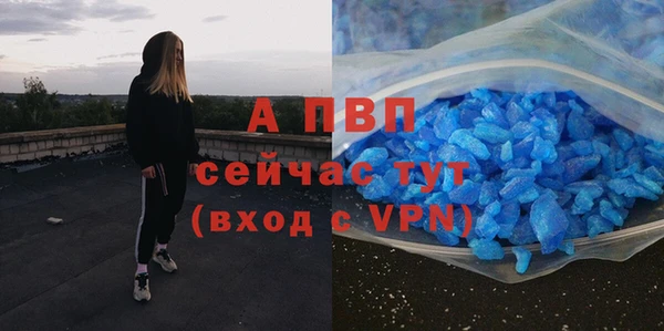 прущие грибы Новокубанск